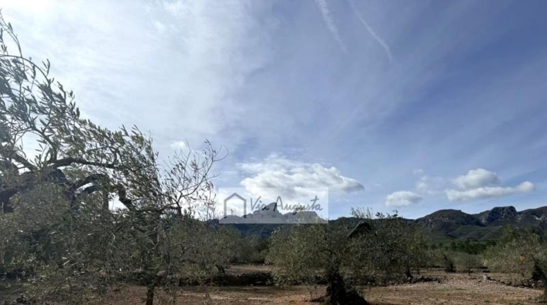 Tarragona - эль Перельо - 14467m2