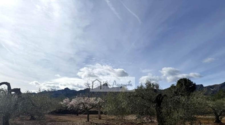 Tarragona - эль Перельо - 14467m2