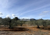 Terreny no urbanitzable en venda a la España, el Perelló, ref.: TR387011 foto
