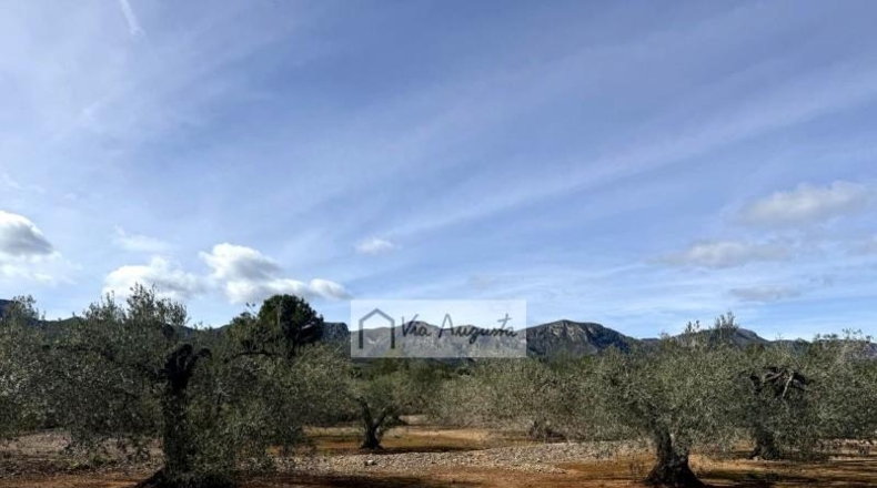 Tarragona - эль Перельо - 14467m2