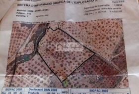 el Perelló 58677&nbsp;м²