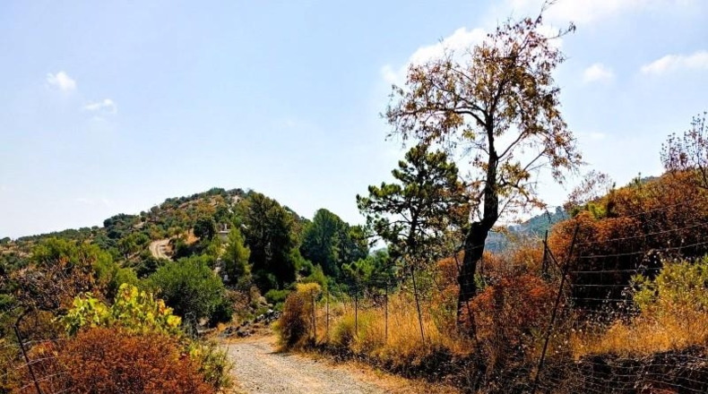 Málaga - Tolox - 5939m2