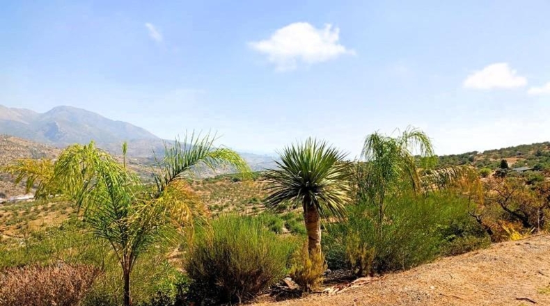 Málaga - Tolox - 5939m2