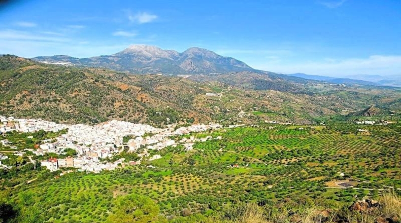Málaga - Tolox - 5939m2