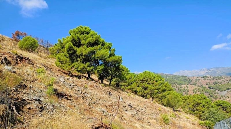 Málaga - Tolox - 5939m2