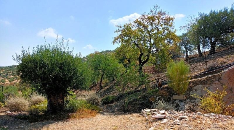 Málaga - Tolox - 5939m2