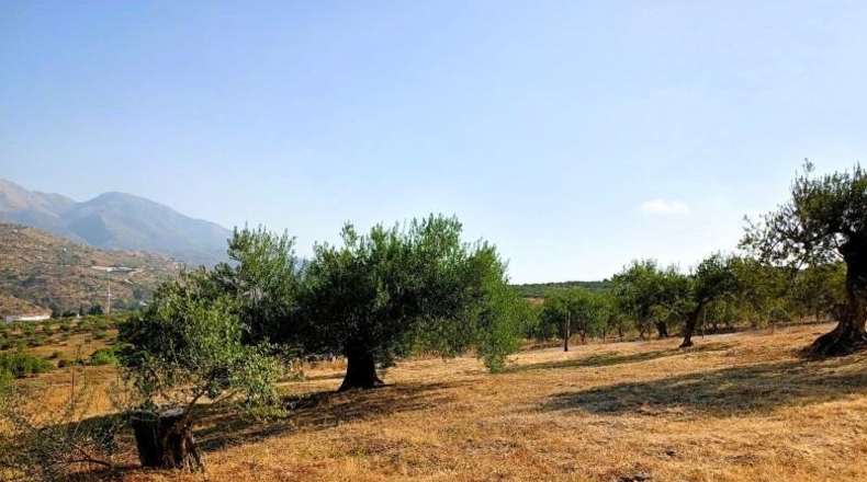 Málaga - Tolox - 5939m2