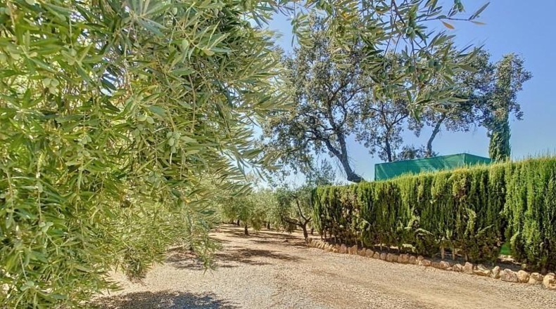 Córdoba - Адамус - 35000m2