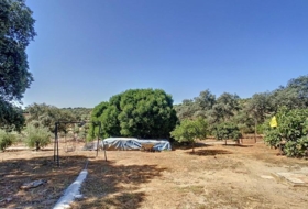 Adamuz 35000&nbsp;m² 