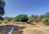 Casa de camp amb terreny en venda a la España, Adamuz, ref.: TR386976 foto