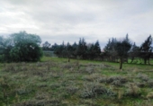 Non-developable land for sale on España, Badajoz, ref: TR387202 photo