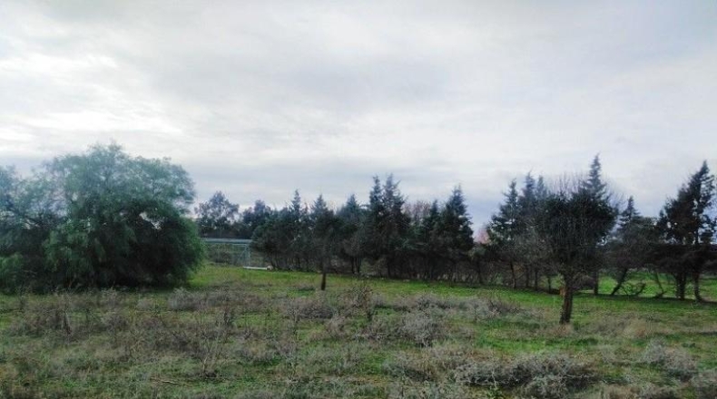 Badajoz - Бадахос - 15000m2