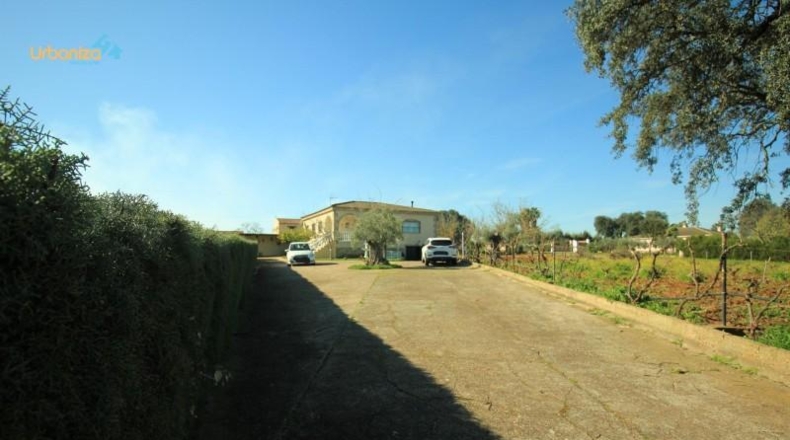 Badajoz - Бадахос - 5000m2