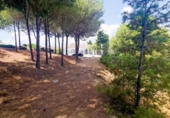 Городская земля под застройку на продажу у города Campo-Mijas Фото