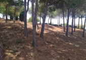 Городская земля под застройку на продажу у города Campo-Mijas Фото
