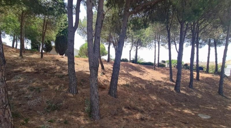 Málaga - Mijas - 1555m2