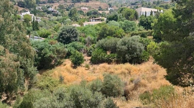 Málaga - Mijas - 1555m2