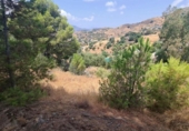 Городская земля под застройку на продажу у города Campo-Mijas Фото