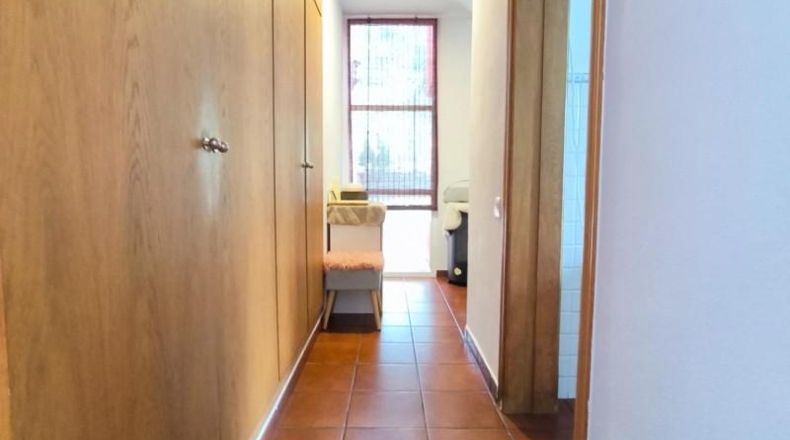 Murcia - Molina de Segura - 1306m2