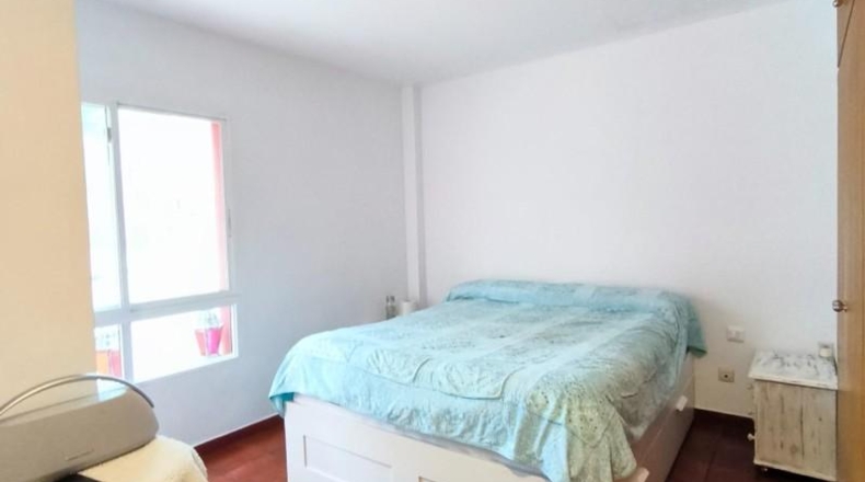 Murcia - Molina de Segura - 1306m2