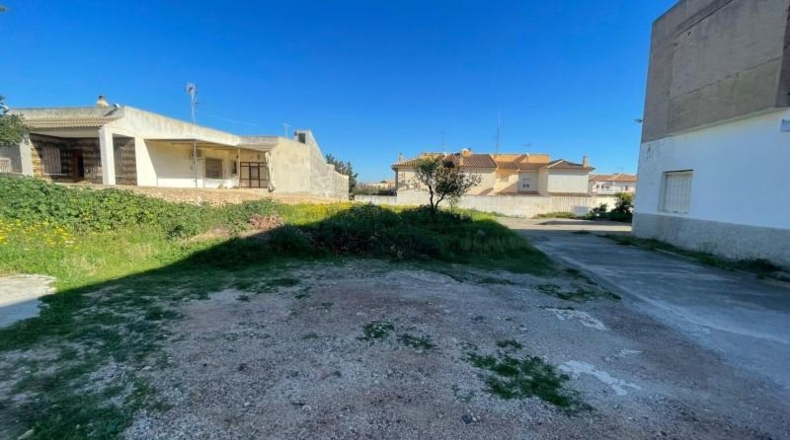 Мурсия - Cartagena - 1250m2