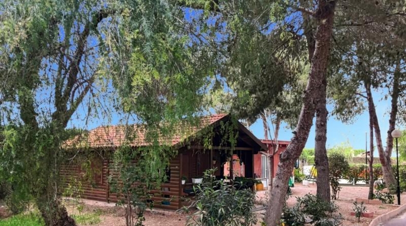 Alicante - Dolores - 6800m2
