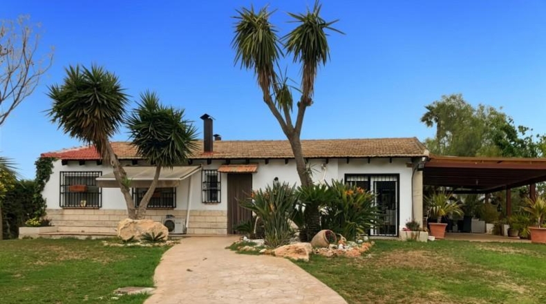Alicante - Dolores - 6800m2