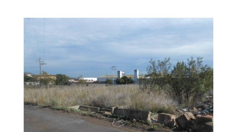 Castellón - Castelló de la Plana - 8000m2