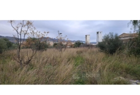 Кастельон-де-ла-Плана 8000&nbsp;м²