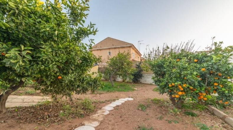 Murcia - San Javier - 1232m2