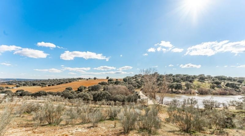 Toledo - Almorox - 220000m2