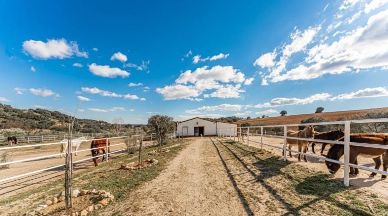 Toledo - Almorox - 220000m2