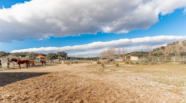 Toledo - Almorox - 220000m2