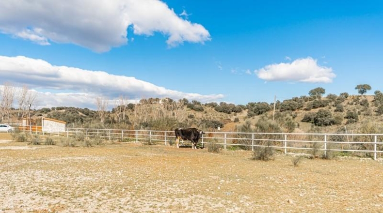 Toledo - Almorox - 220000m2