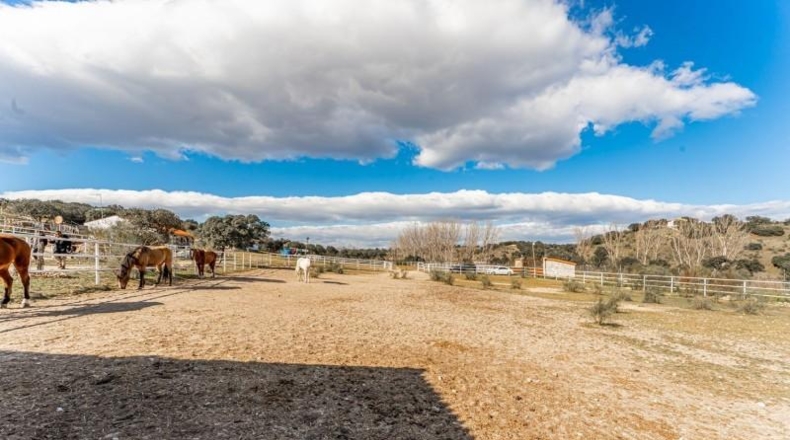 Toledo - Almorox - 220000m2