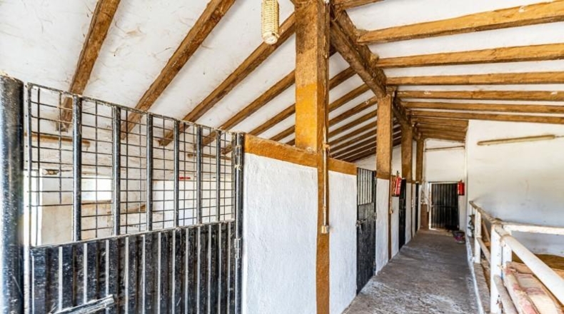 Toledo - Almorox - 220000m2