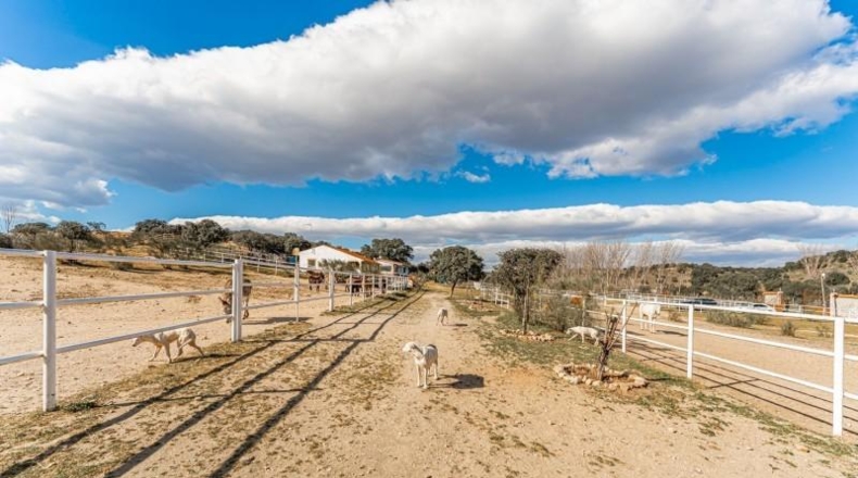 Toledo - Almorox - 220000m2