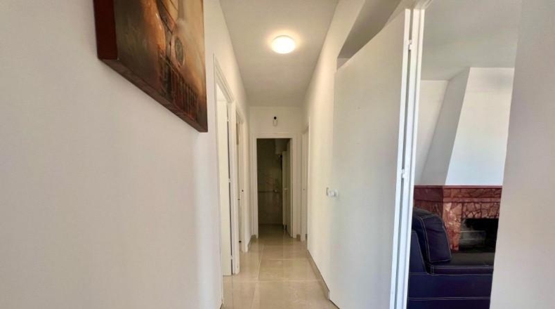 Alicante - Torrevieja - 300m2