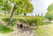 Country house with land for sale on España, Laguna de Duero, ref: TR387265 photo