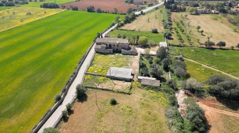 Valencia - Albaida - 1168m2