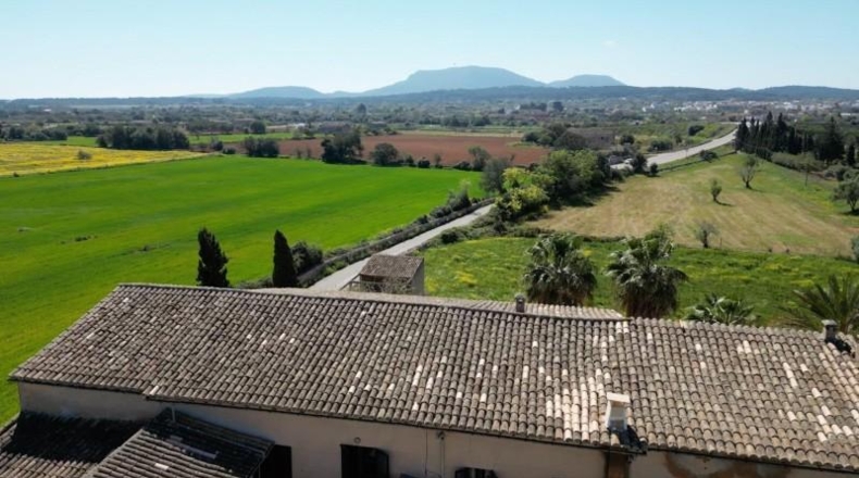 Valencia - Albaida - 1168m2
