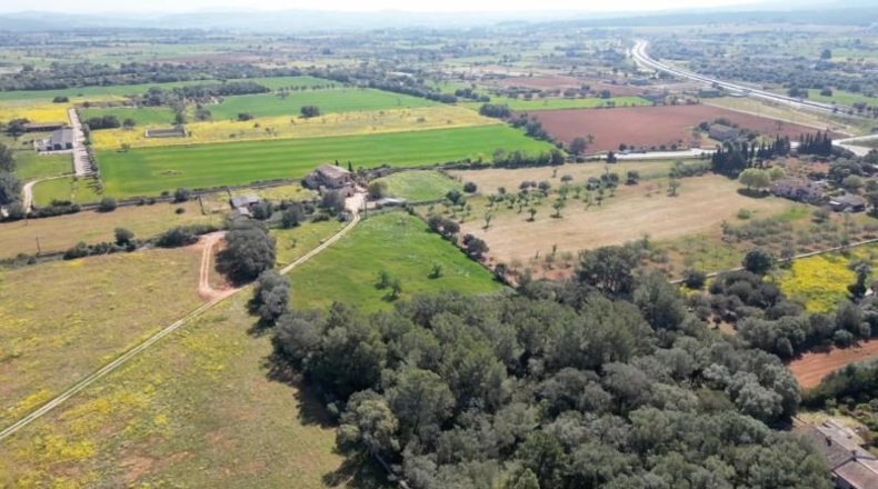 Valencia - Albaida - 1168m2