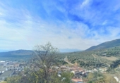 Village house for sale in Íllora ref: TR393919 photo
