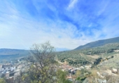 Village house for sale in Íllora ref: TR393919 photo