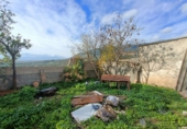 Village house for sale in Íllora ref: TR393919 photo