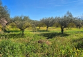 Отдельно стоящий дом с участком на продажу в городе Ontinyent. Фото