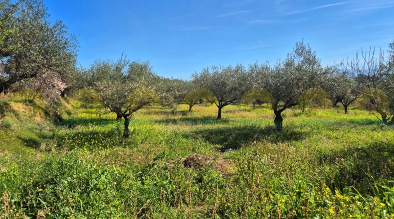 Valencia - Onteniente - 3654m2