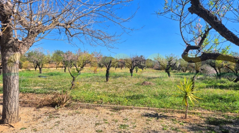 Valencia - Onteniente - 3654m2