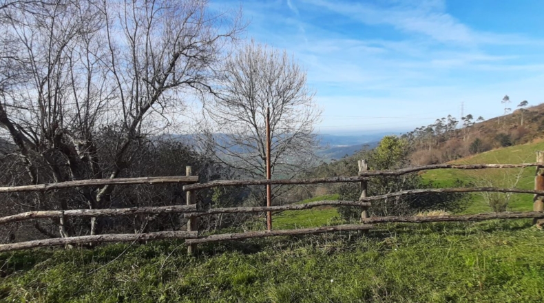 Cantàbria - Солорсано - 26000m2
