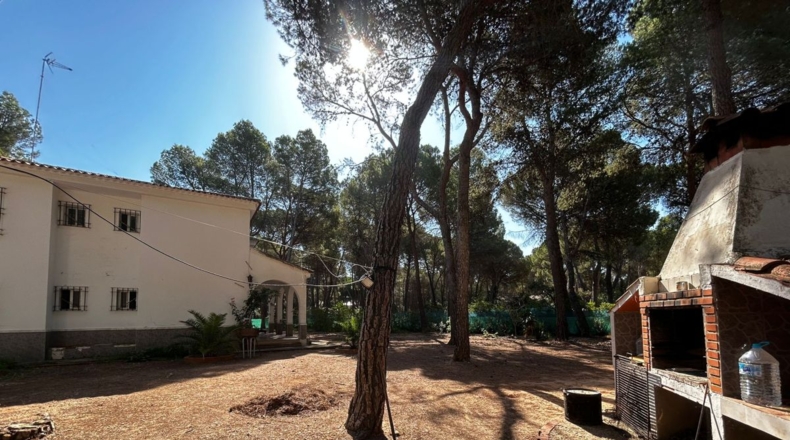Albacete - Альбасете - 10000m2